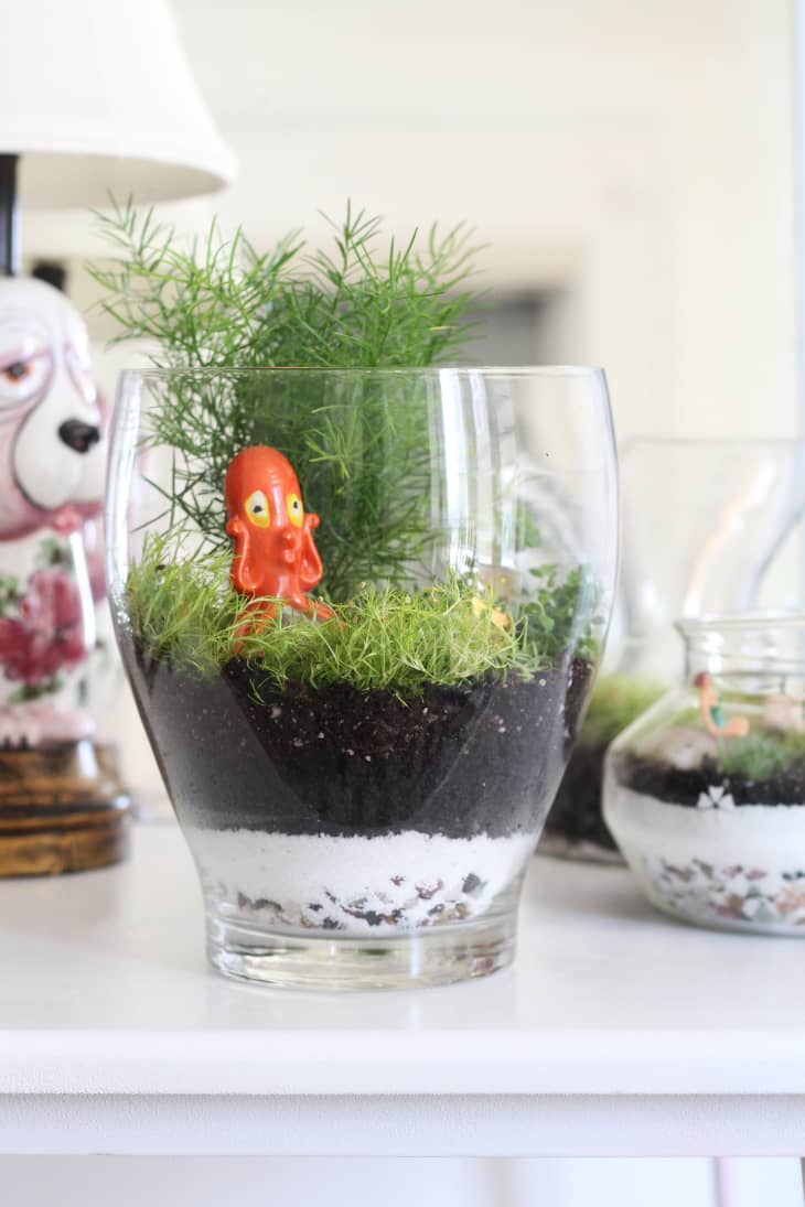 How To Make a Terrarium Apartment Therapy