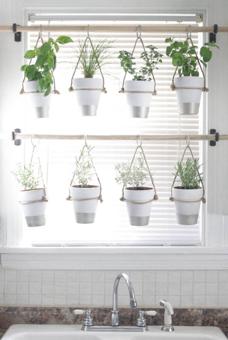 Plant shelf best sale over kitchen sink