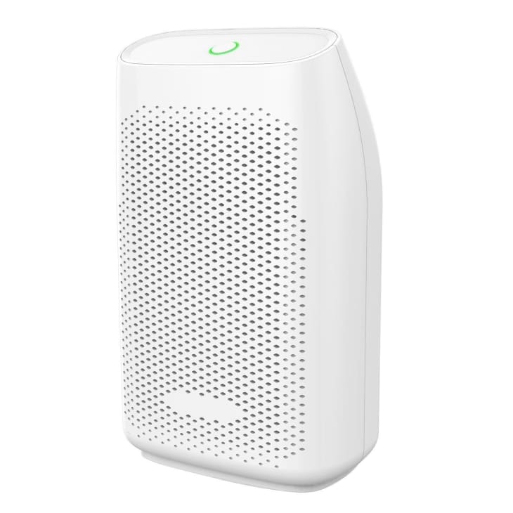 High or Low Humidity in Your House? Here's How to Fix It | Apartment