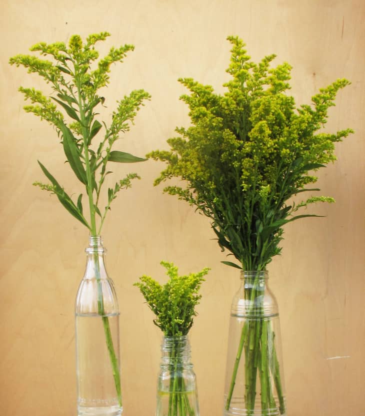 Florist Secrets 8 Great Alternatives to Traditional Vases Apartment