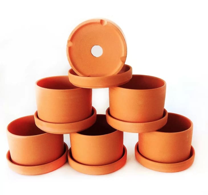 Terracotta Pots Review The Best, Cheapest Plant Pot Apartment Therapy