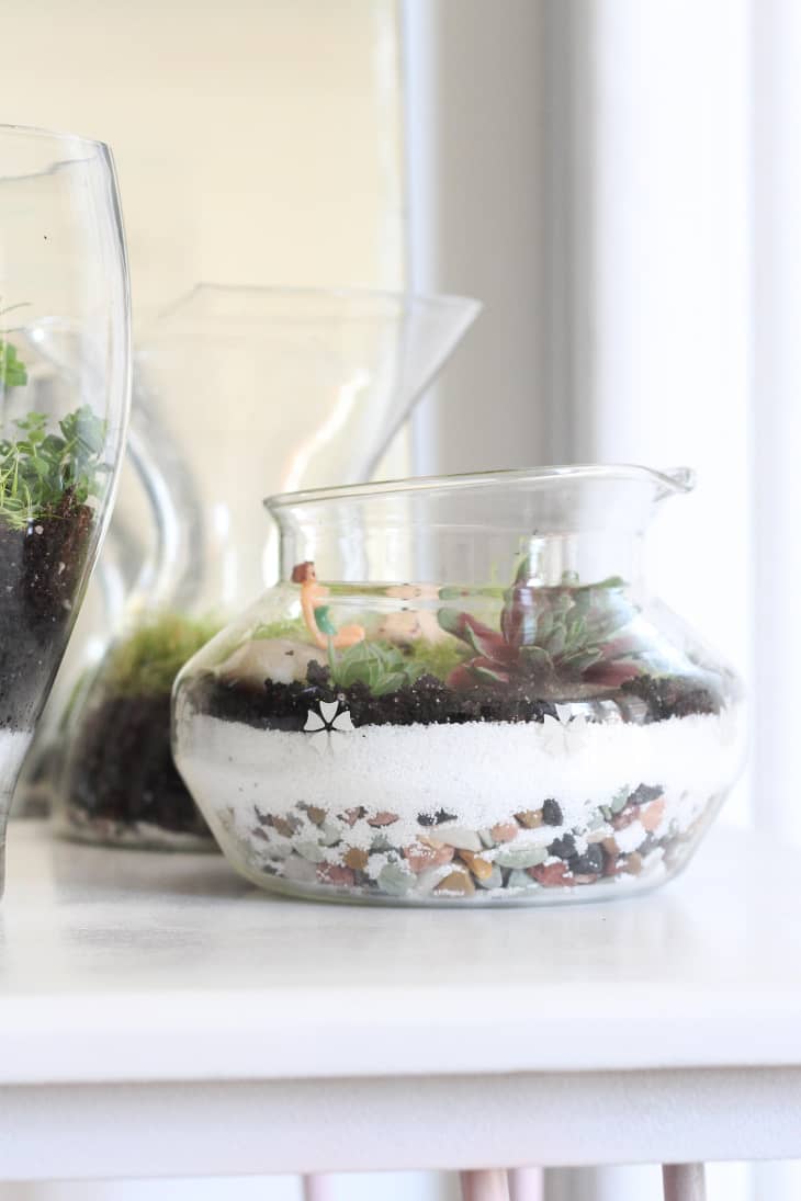 How To Make a Terrarium Apartment Therapy
