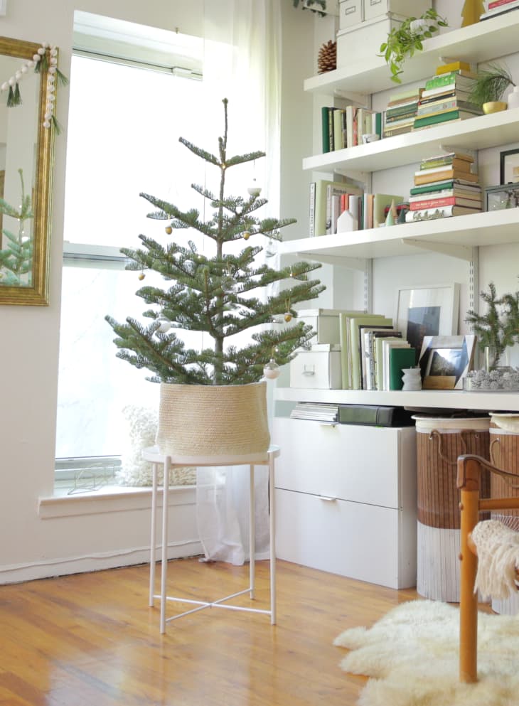 Christmas tree deals for small spaces