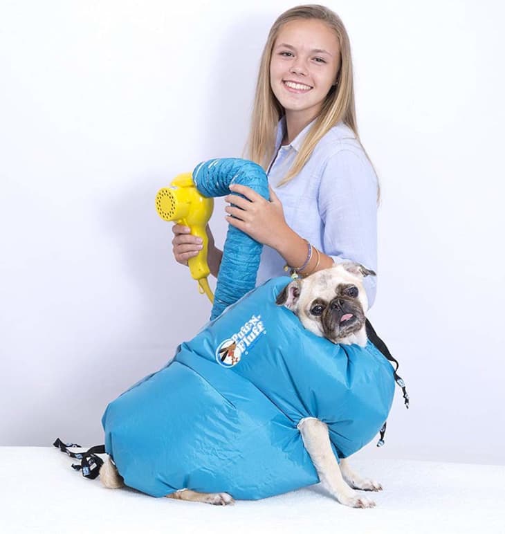 Get Rid Of Wet Dog Smell With This Drying Dog Coat Apartment Therapy