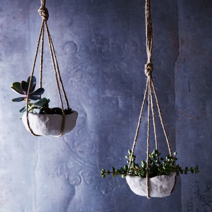 11 Best DIY Hanging Planters Easy Ideas to Make a Cool Hanging