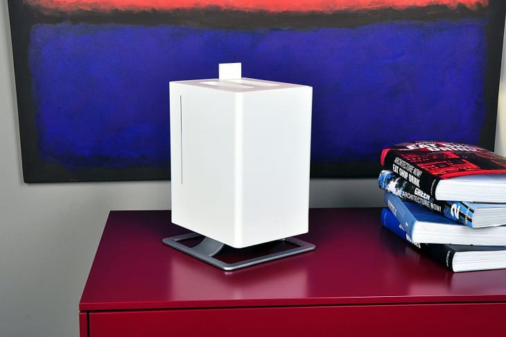 High or Low Humidity in Your House? Here's How to Fix It | Apartment