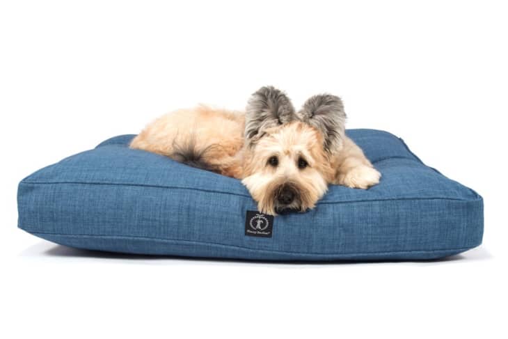 Stylish Dog Beds Litter Boxes Pet Products | Apartment Therapy