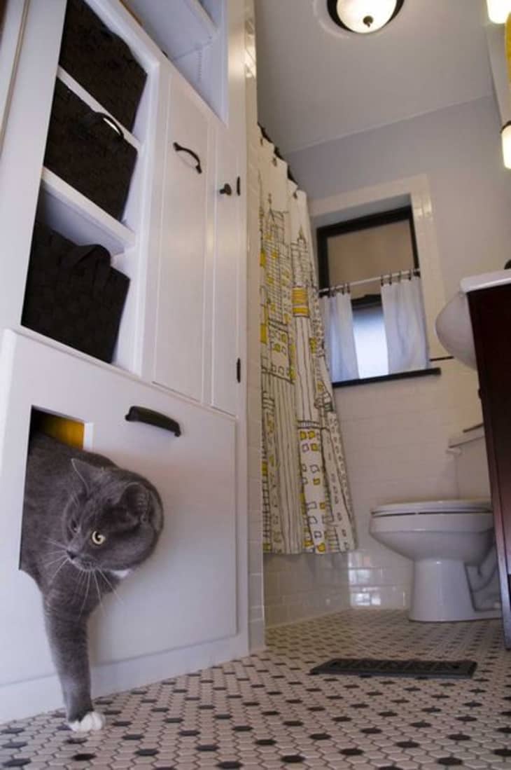 Creative ways to clearance hide cat litter box