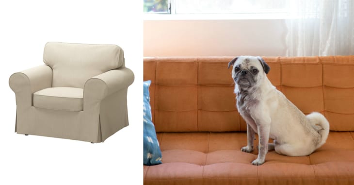 Pet Name Ideas for Your Dog Inspired by IKEA Furniture