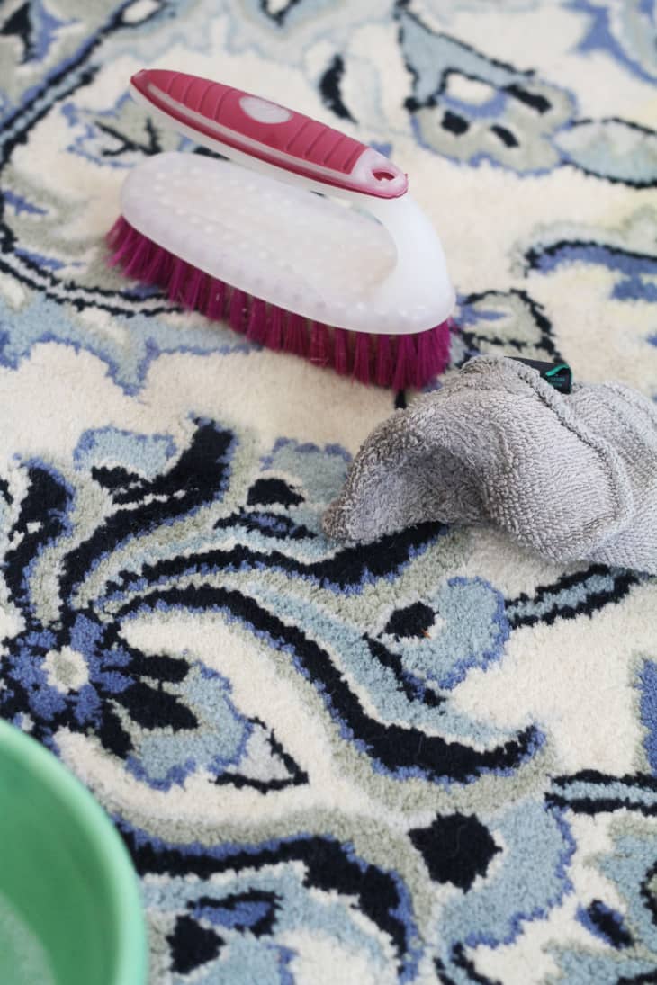 Here's How to Clean Pet Stains in 5 Easy Steps Apartment Therapy