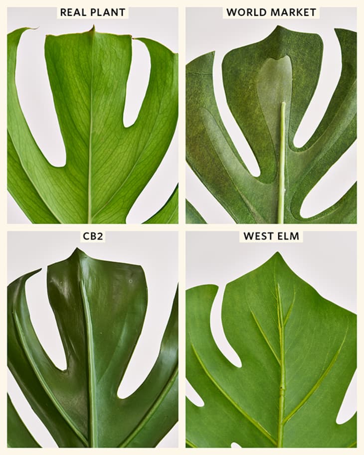 The Best Faux Monstera Leaf Decor Apartment Therapy
