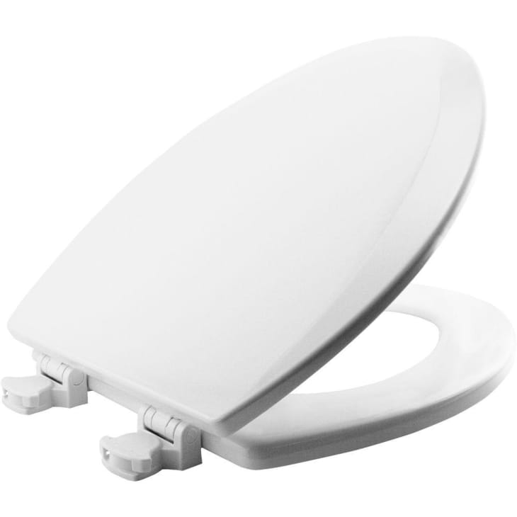 Detachable Toilet Seat Review, Pros, Cons Apartment Therapy
