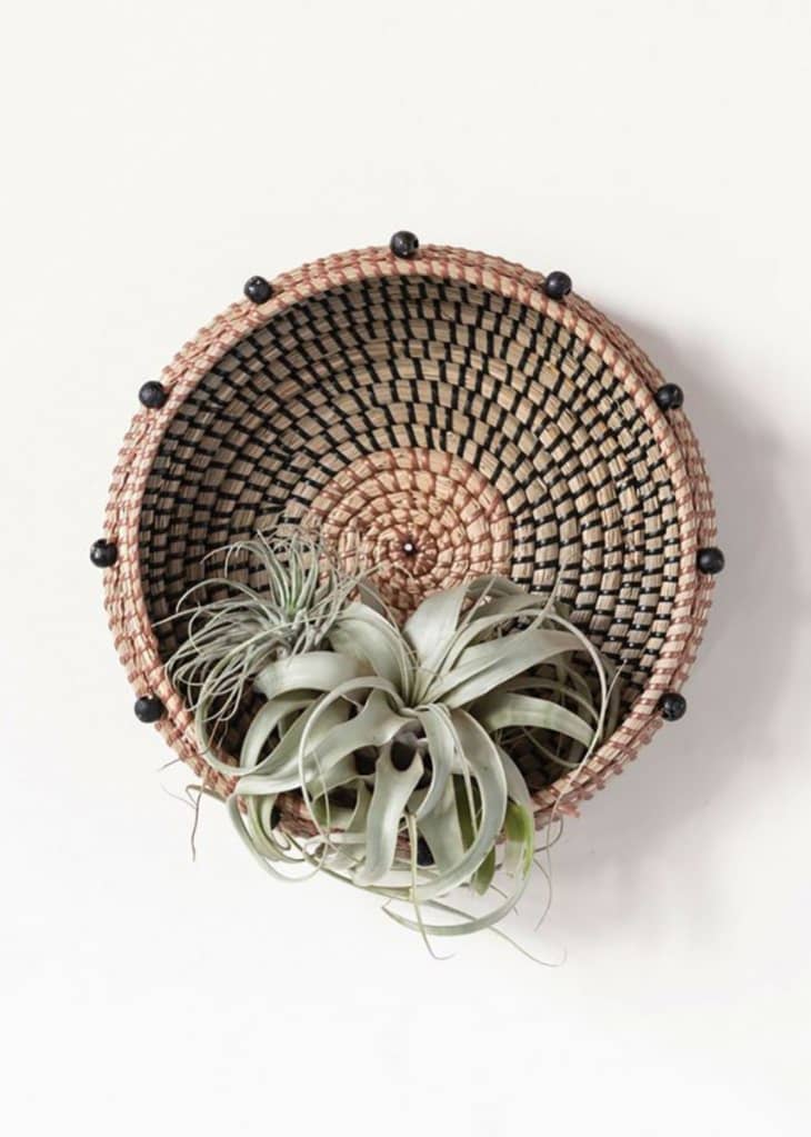 The Best Decorative Planters for Your House Plants Apartment Therapy