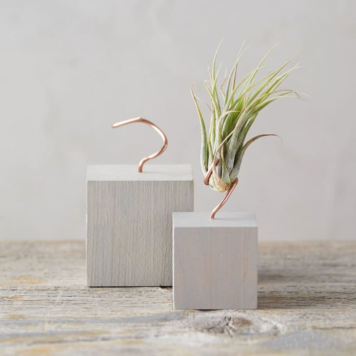 The Best Decorative Planters for Your House Plants Apartment Therapy