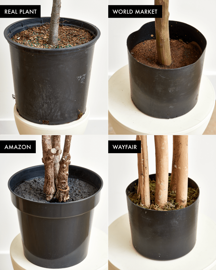 The Best Faux Fiddle Leaf Fig Tree Apartment Therapy