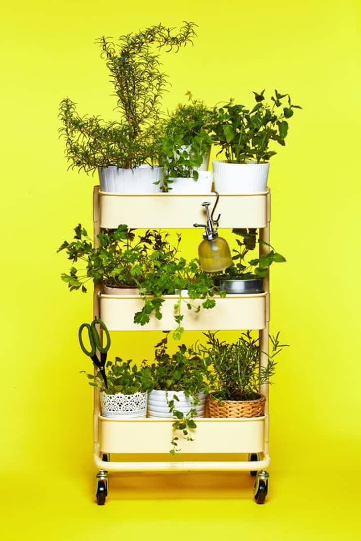 IKEA Hacks for Plants Pots, Plant Stands, Terrariums Apartment Therapy