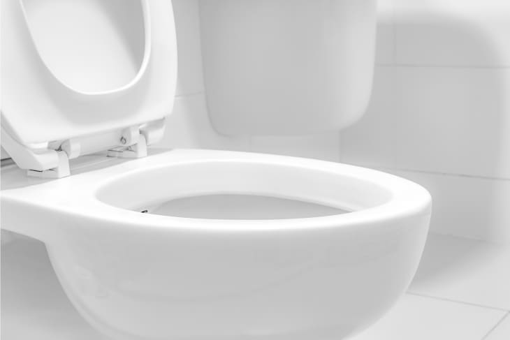 How to Thoroughly Clean the Toilet by Removing the Seat | Apartment Therapy