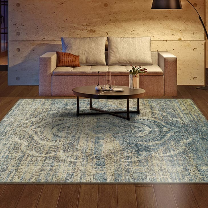 Creatice Apartment Therapy Area Rugs for Small Space