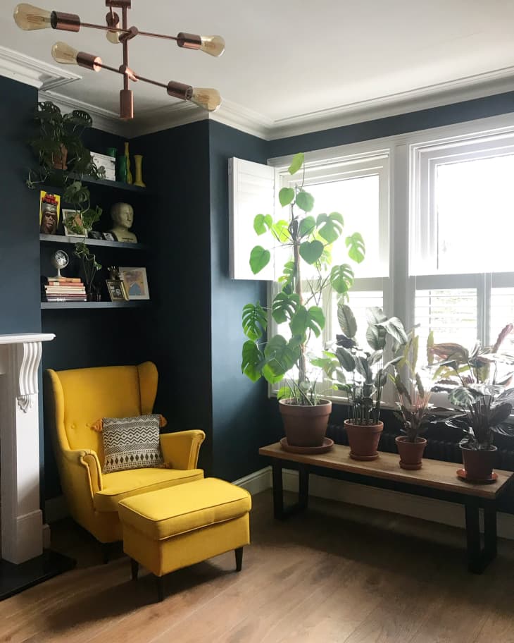 Bold Decor Ideas and Inspiration Photos Apartment Therapy