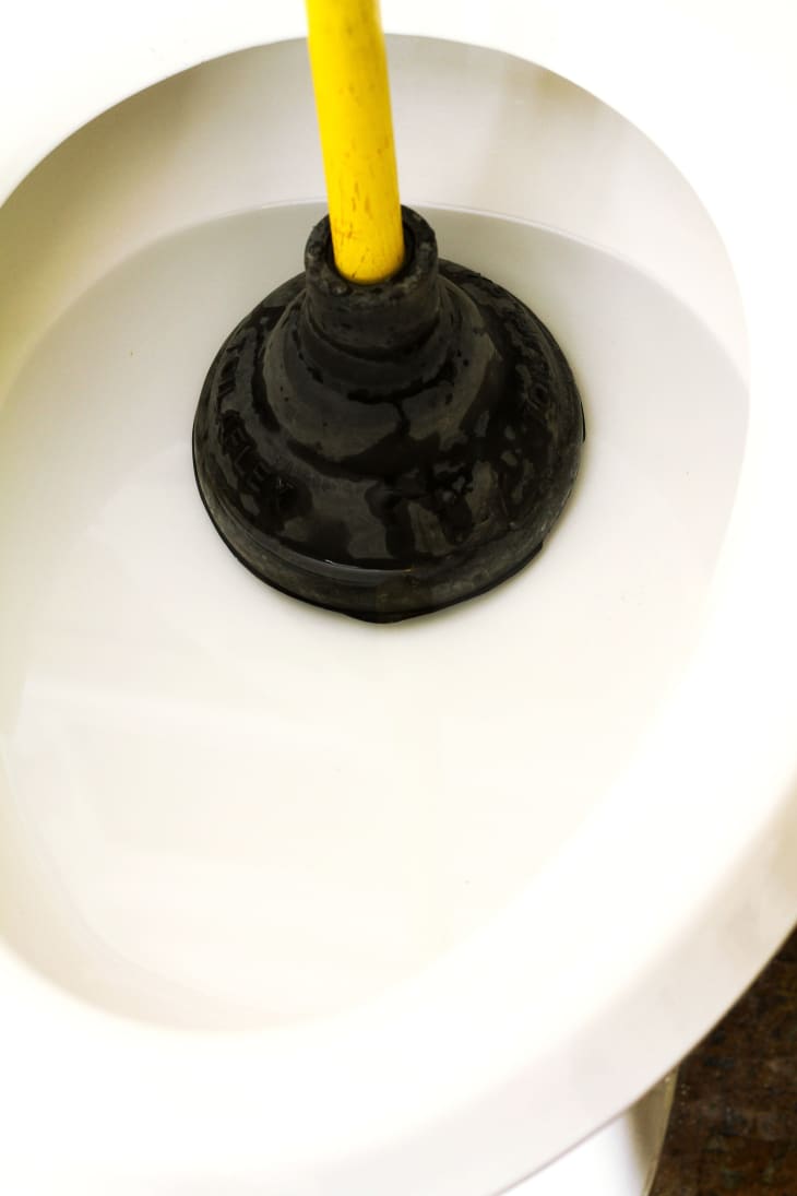 How To Unclog A Toilet With a Plunger Apartment Therapy