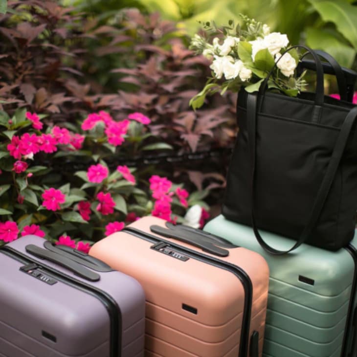 Rashida jones store away luggage