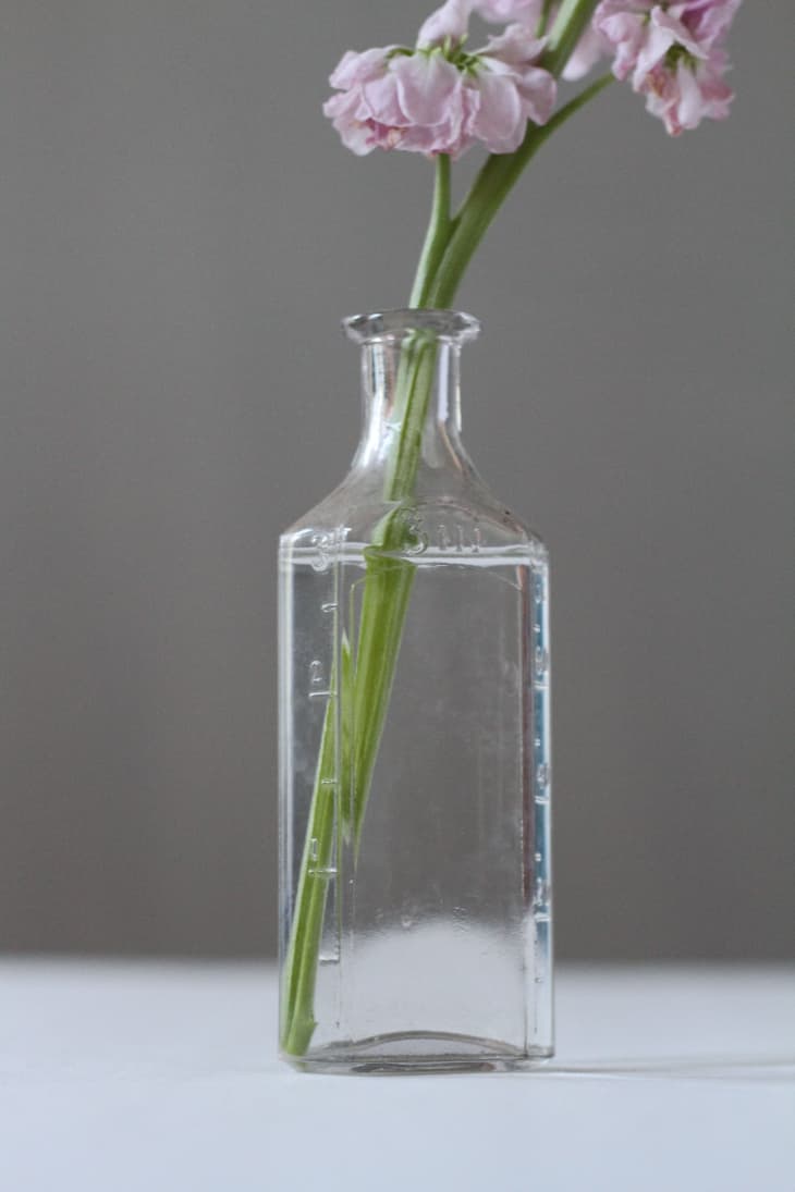 How To Clean the Inside of Vases the Easy Way Apartment Therapy