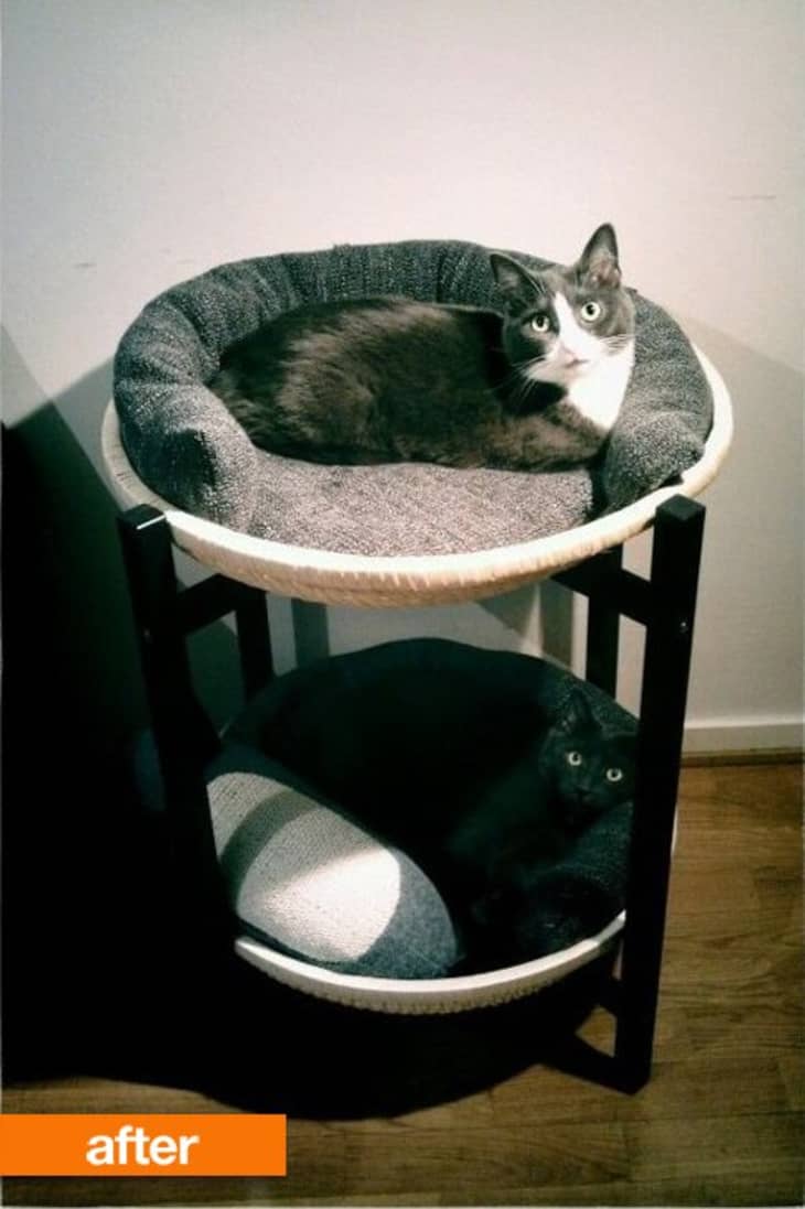 Double deals cat bed