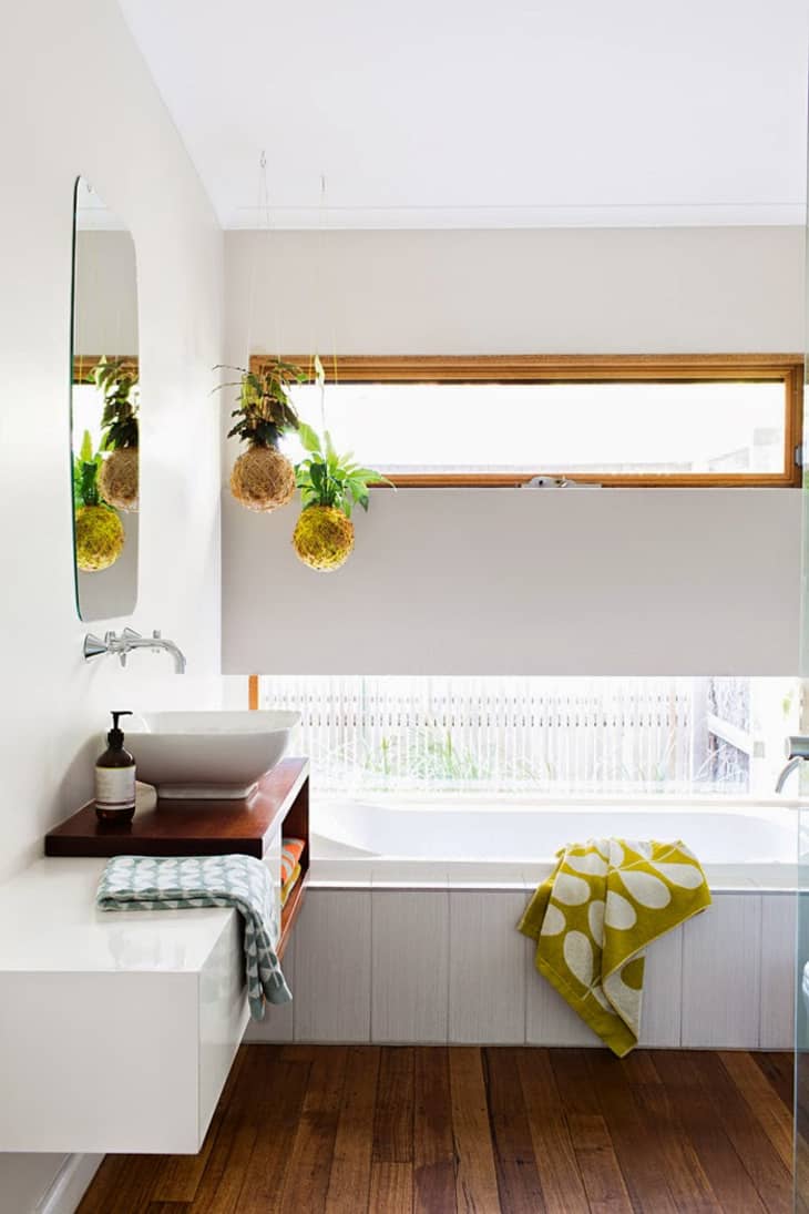 Pinterest's Most Popular Plant Placement Trend: Your Bathroom ...