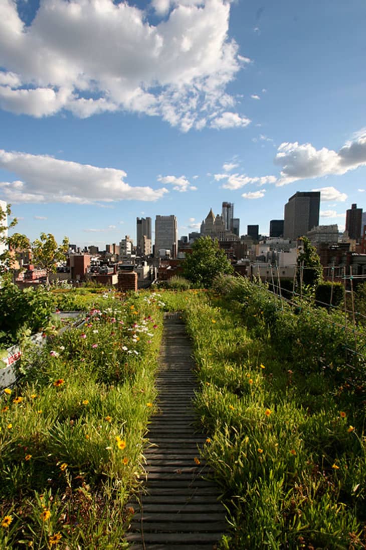 Urban Retreats: 9 Dreamy Rooftop Gardens | Apartment Therapy