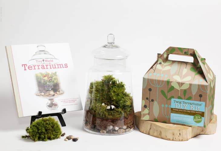 DIY Kits to Make Home Decor DIY Kits for Adults Apartment Therapy