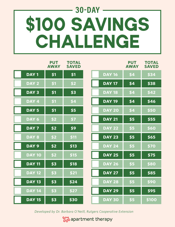 What Is The 100 Day Saving Challenge