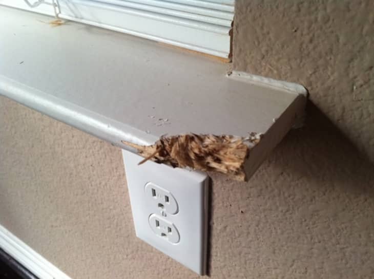 Wood Epoxy Fixes Around the House Apartment Therapy