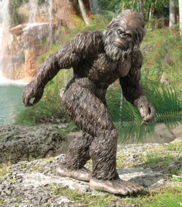 10 of the Weirdest Things For Sale on Amazon Apartment Therapy