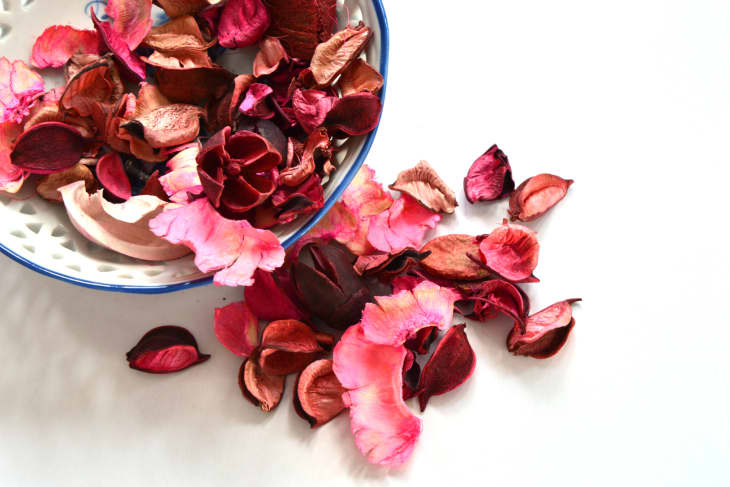 how-to-save-flowers-after-they-die-8-ways-to-preserve-roses-and-other