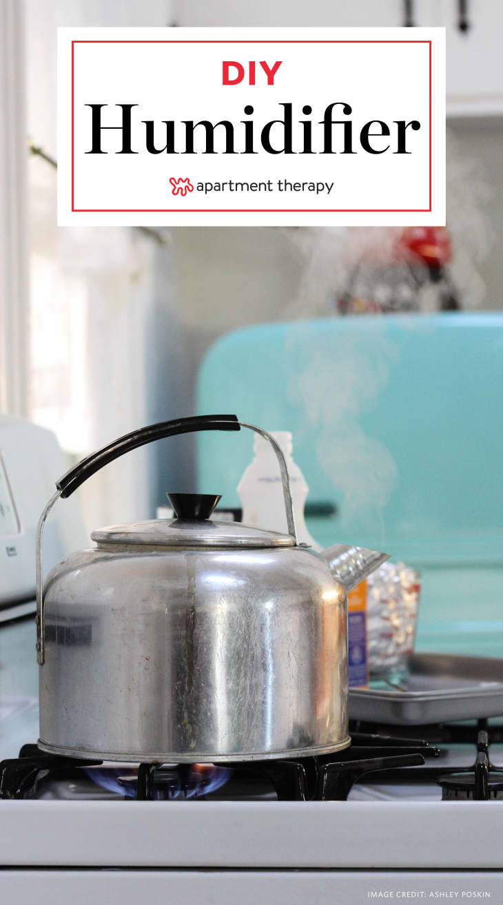 DIY Humidifer How To Add Humidity To Dry Air Apartment Therapy