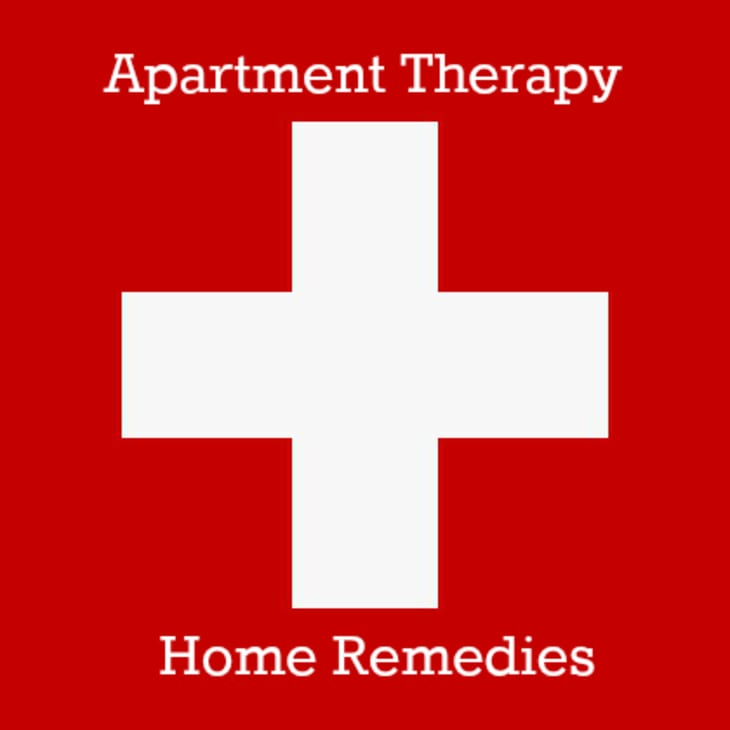 Happier Houseplants How To Keep Indoor Plants Healthy Apartment Therapy