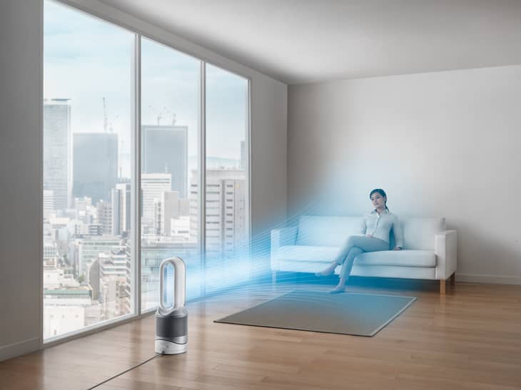 Ready for Allergy Season? Dyson & Blueair Air Purifiers Apartment Therapy
