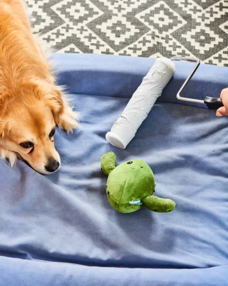 How to Remove Lint from Clothes Quickly, Without a Lint Roller