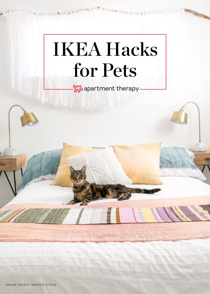 9 Stylish IKEA Hacks Your Cat Will Love Apartment Therapy