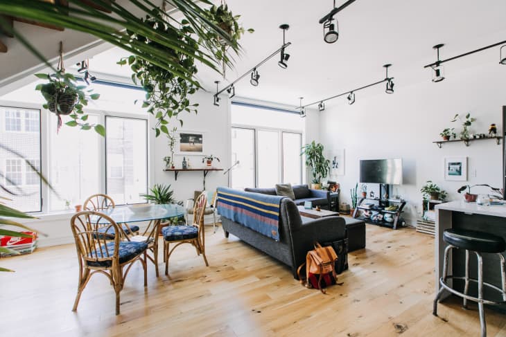 Plants and DIY Projects Make This Philly Rental Apartment Cool ...