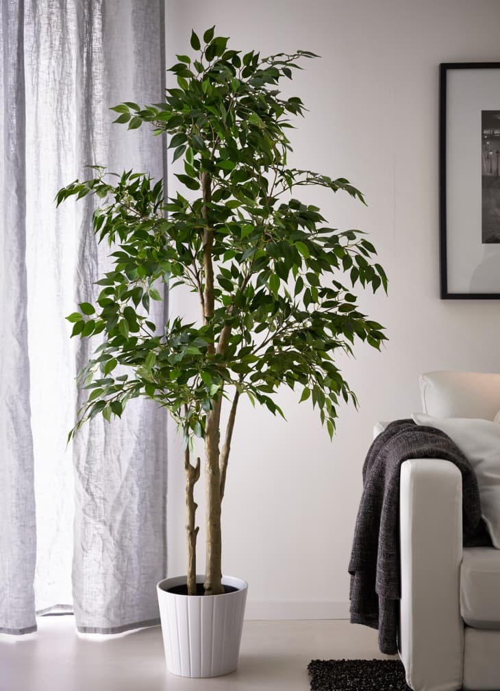 5 Times That Fake Plants Make The Cut (Or Do They?) Apartment Therapy
