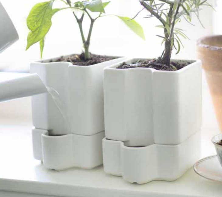 First Look 9 Great IKEA Plant & Garden Finds for Summer 2015 Apartment Therapy