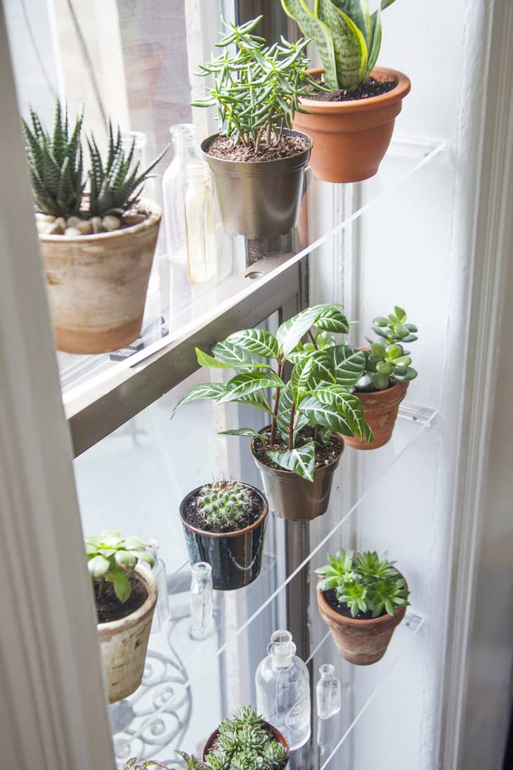 Indoor Garden Ideas - DIY Plant Holders | Apartment Therapy