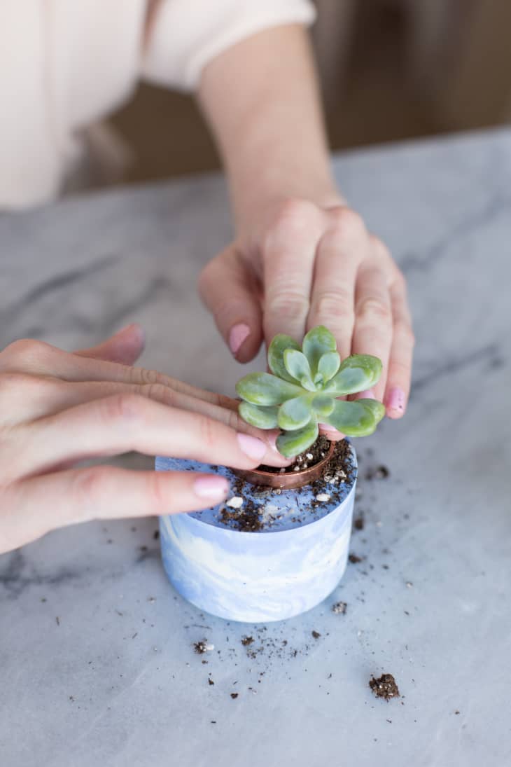 Easy Cool DIY Make Marbled & Ombre Concrete Planters Apartment Therapy