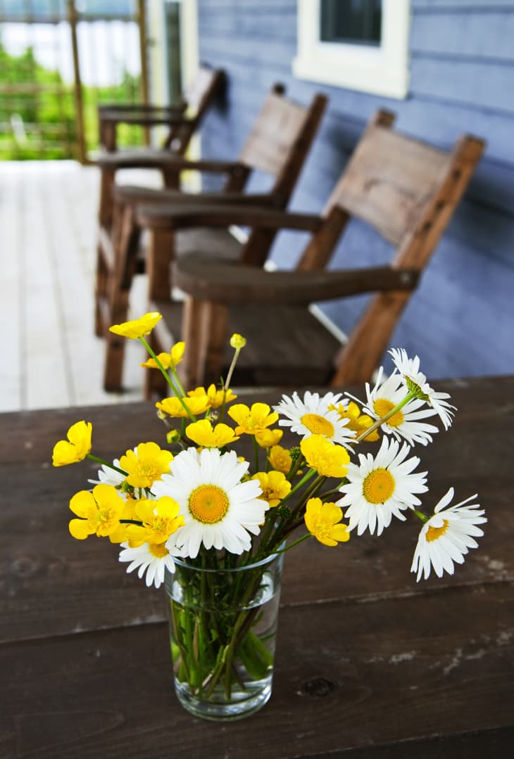 What Your Favorite Flower Says About You — Flower Meanings Apartment