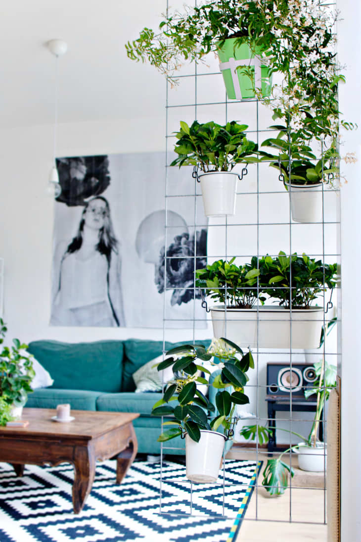 Beautiful view of Off Grid Apartment Space Planning Ideas