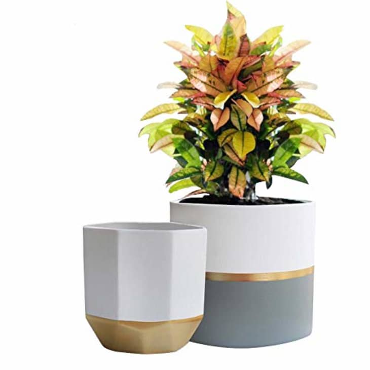 Shop Amazon Planters Indoor & Outdoor Planters Apartment Therapy