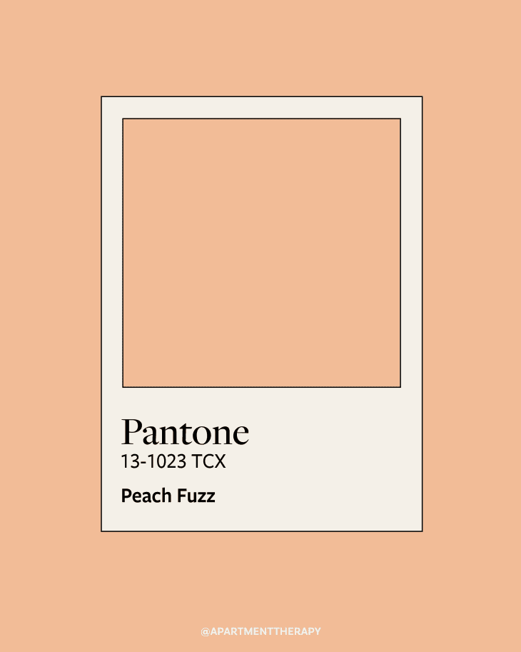 Pantone's 2024 Color of the Year Is Super Fresh Apartment Therapy
