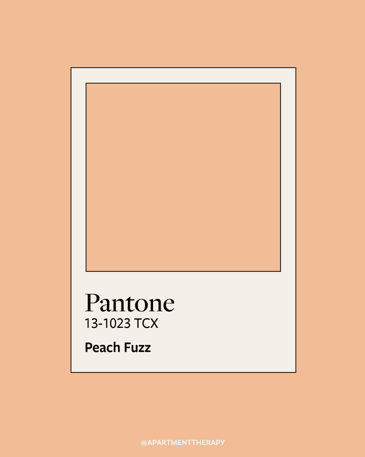 Pantone's 2025 Color of the Year Is Super Fresh Apartment Therapy