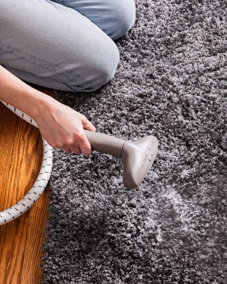 How to Get Paint Out of Carpet 2 Ways to Remove Paint Stains Apartment Therapy